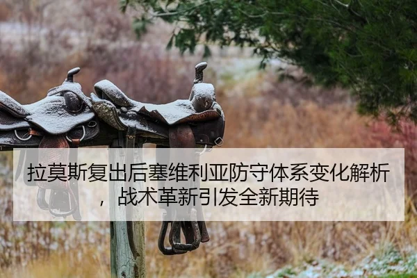 拉莫斯复出后塞维利亚防守体系变化解析，战术革新引发全新期待